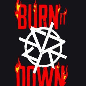 Polera Seth Rollins "Burn it Down"