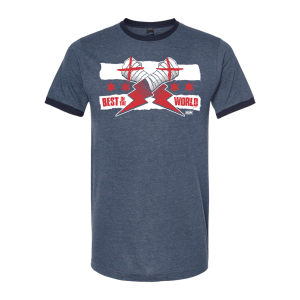 Polera CM Punk Best in the World Gris